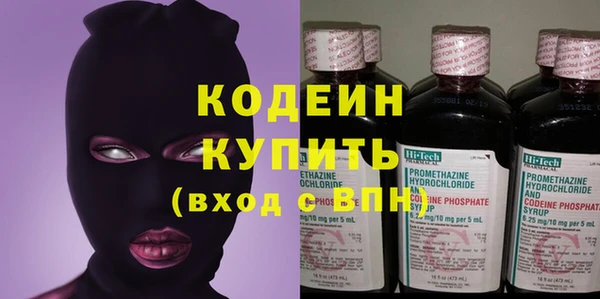 индика Балахна