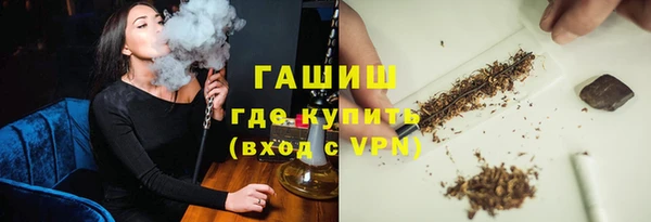 индика Балахна