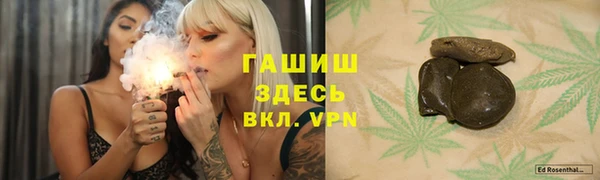 индика Балахна