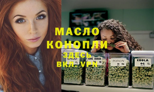 индика Балахна