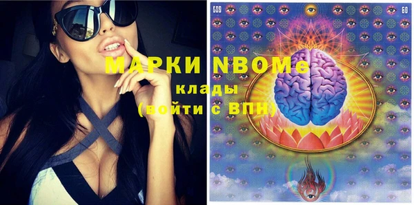 индика Балахна