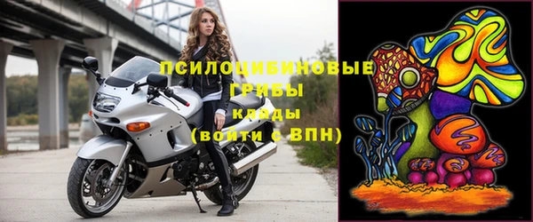 дмт Дмитров