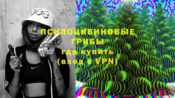 индика Балахна