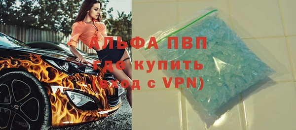 индика Балахна