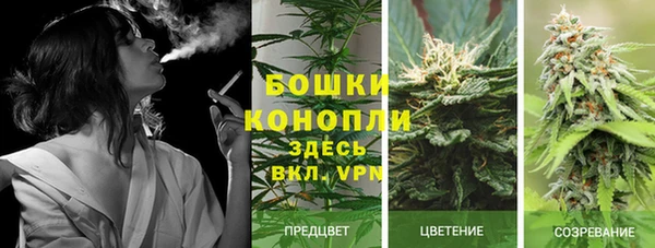 индика Балахна