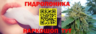 сатива Новодвинск