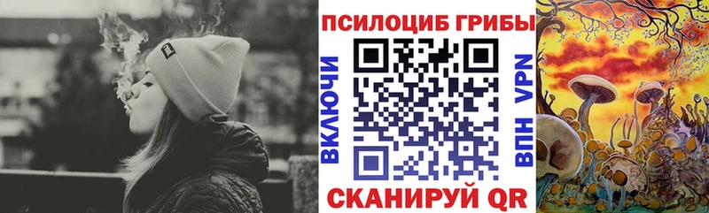мега маркетплейс  Каспийск  Псилоцибиновые грибы GOLDEN TEACHER 